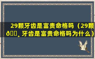 29颗牙齿是富贵命格吗（29颗 🌸 牙齿是富贵命格吗为什么）